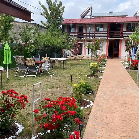 Casa Ely Si Rolly - Гостевой дом Костинешти