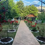 Casa Ely Si Rolly - 3* קוסטינסטי