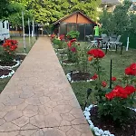 Casa Ely Si Rolly - בית הארחה קוסטינסטי
