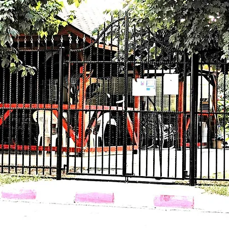 Casa Ely Si Rolly - Costinesti Vendégház Costinești