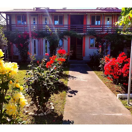 Vendégház Casa Ely Si Rolly - Costinesti 3*