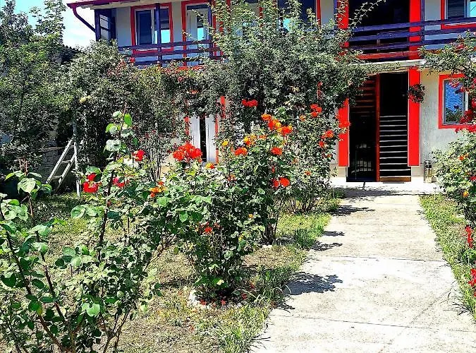 Guest house Casa Ely Si Rolly - Costinesti 3*