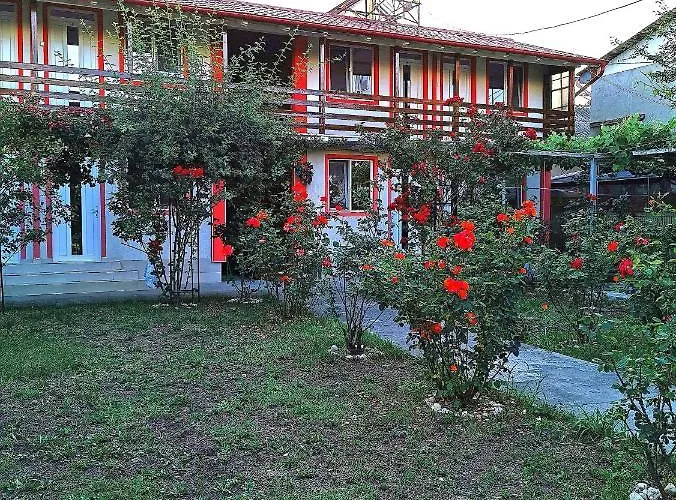 Casa Ely Si Rolly - Costinesti Vendégház