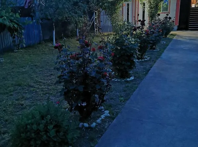 Guest house Casa Ely Si Rolly - Costinesti 3*