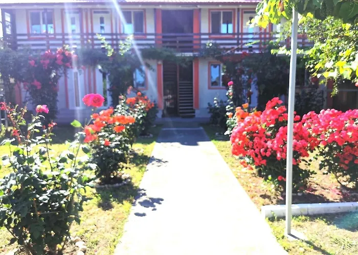 Casa Ely Si Rolly - Costinesti 3* Costinesti