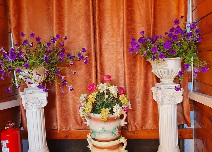 Casa Ely Si Rolly - Costinesti Costinești