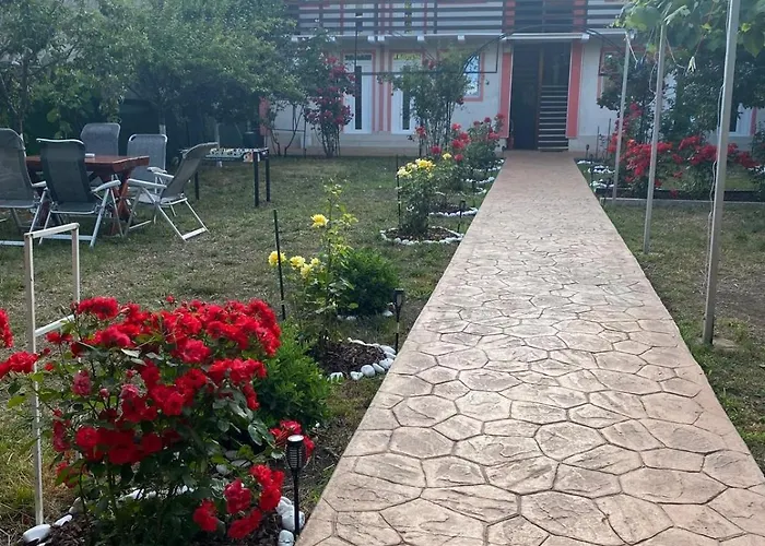 Guest house Casa Ely Si Rolly - Costinesti Costinesti