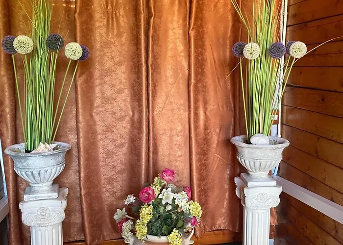 Guest house Casa Ely Si Rolly - Costinesti