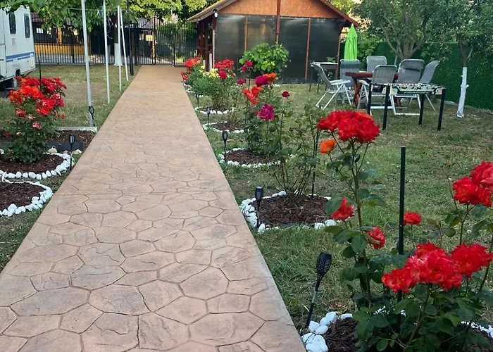 Casa Ely Si Rolly - Costinesti Guest house Costinesti